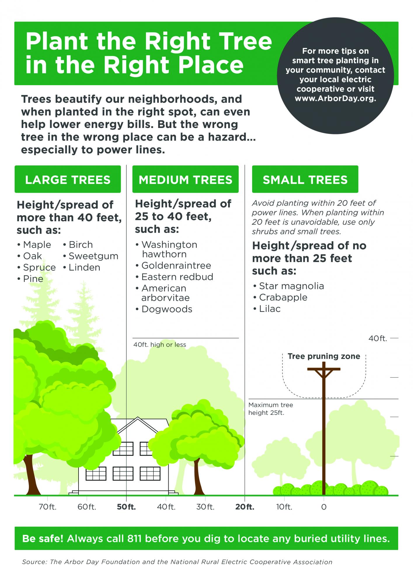 Tree Planting